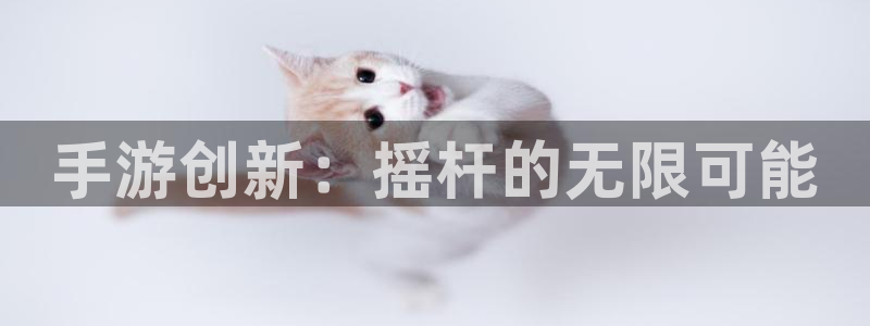 豪门国际开奖预测网站刘伯温