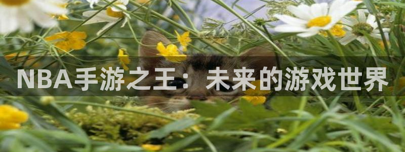 28大神预测组合