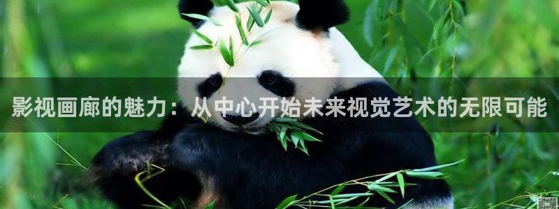 老子电影完整版免费：影视画廊的魅力：从中心开始未来视觉艺术的无限可能