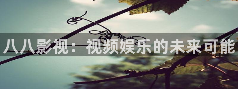 老子理论电影网：八八影视：视频娱乐的未来可能