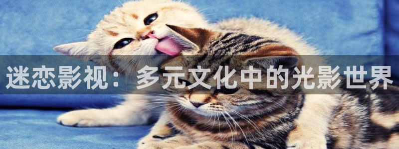 老子神马电影：迷恋影视：多元文化中的光影世界