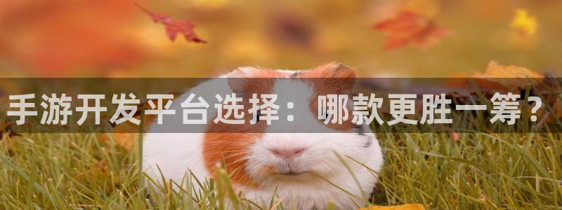 豪门国际论坛预测