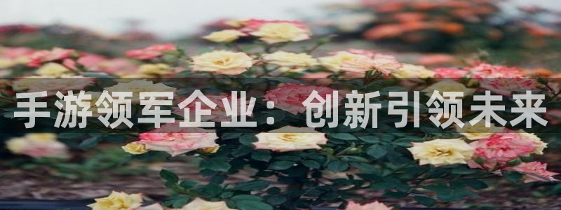 28大神在线预测：手游领军企业：创新引领未来